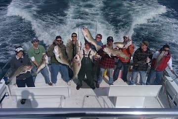 Angler Boat Fishing Trips