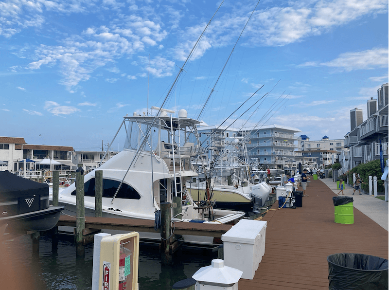 Marina with several fishing boats docked along a wooden pier under a bright blue sky with scattered clouds.