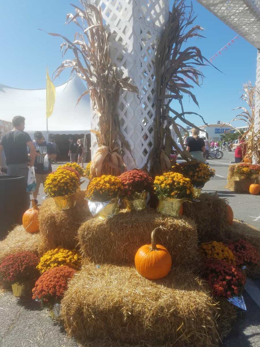 This Week In OC Shore Craft Beer Fest OCtoberfest