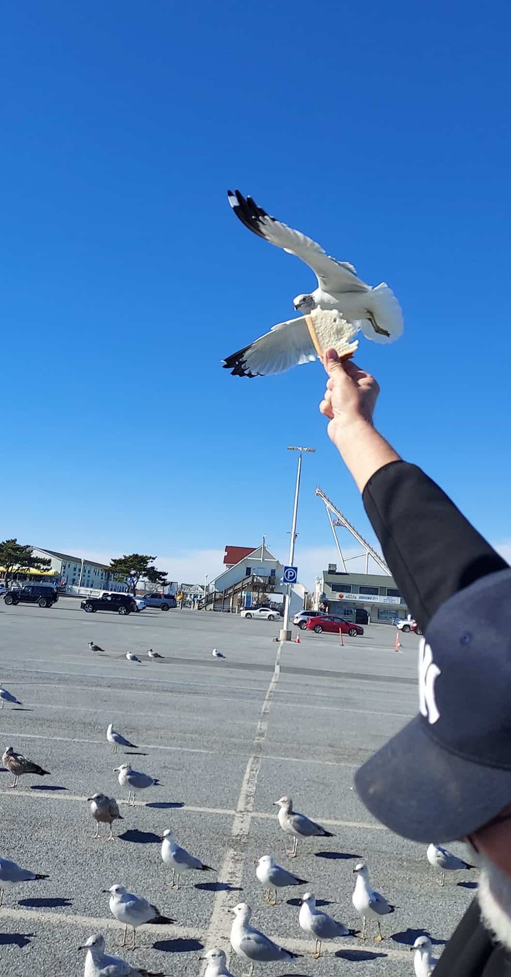 town-of-ocean-city-closing-the-inlet-parking-lot-9-10-10-8-oceancity