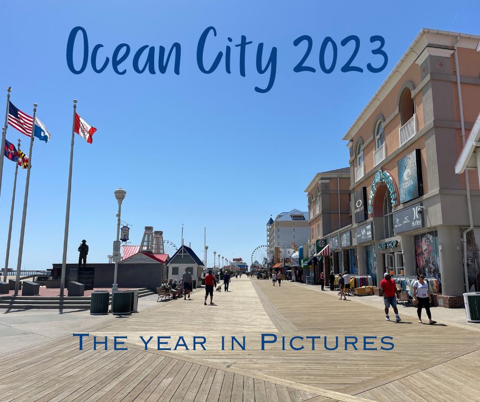 A Year in Pictures Ocean City Md