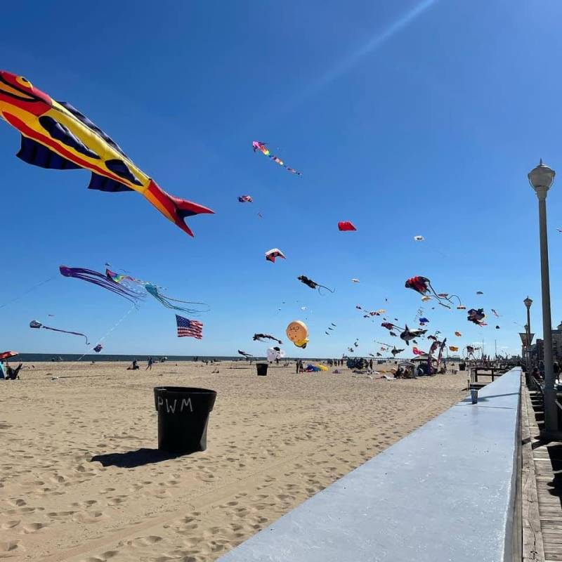 The Kite Loft’s Sunfest Kite Festival 2024 Ocean City, MD