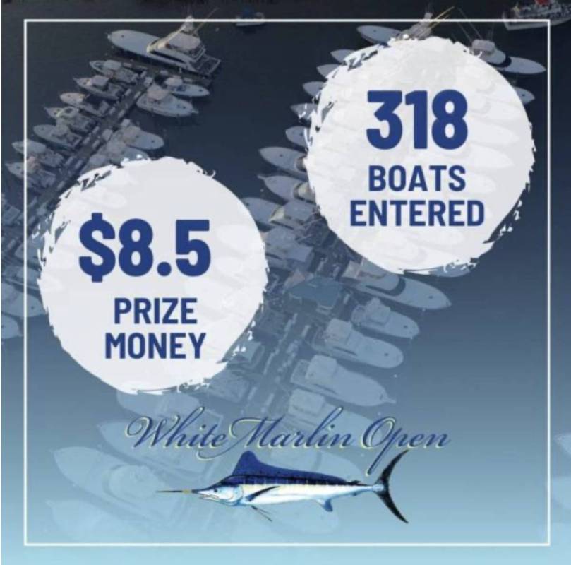 2025 Guide to the White Marlin Open