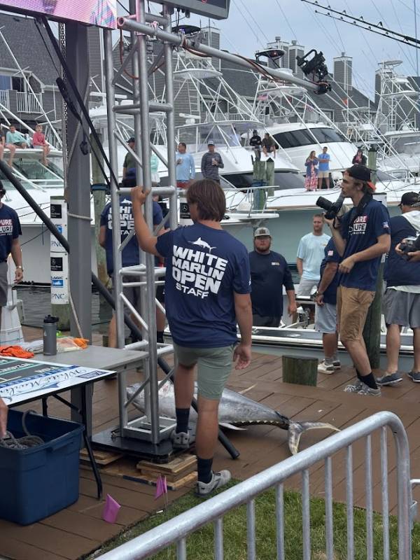 White Marlin Open 2024 Day 3 Show Me Your Tuna!